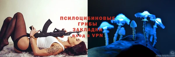 ГАЛЛЮЦИНОГЕННЫЕ ГРИБЫ Верея