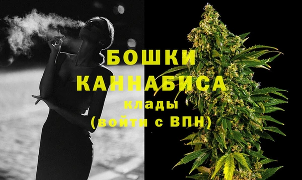 СК Бронницы