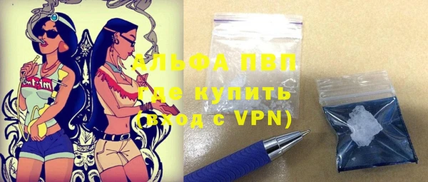гашик Чердынь