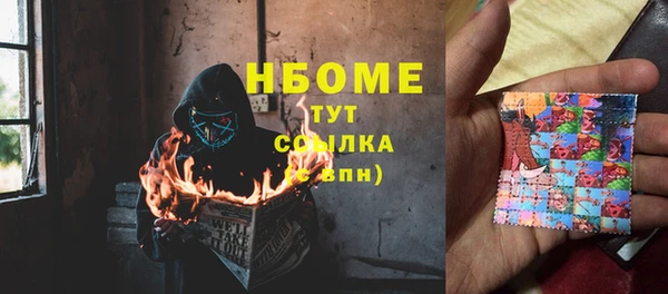 СК Бронницы